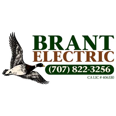 The Brant Electric logo